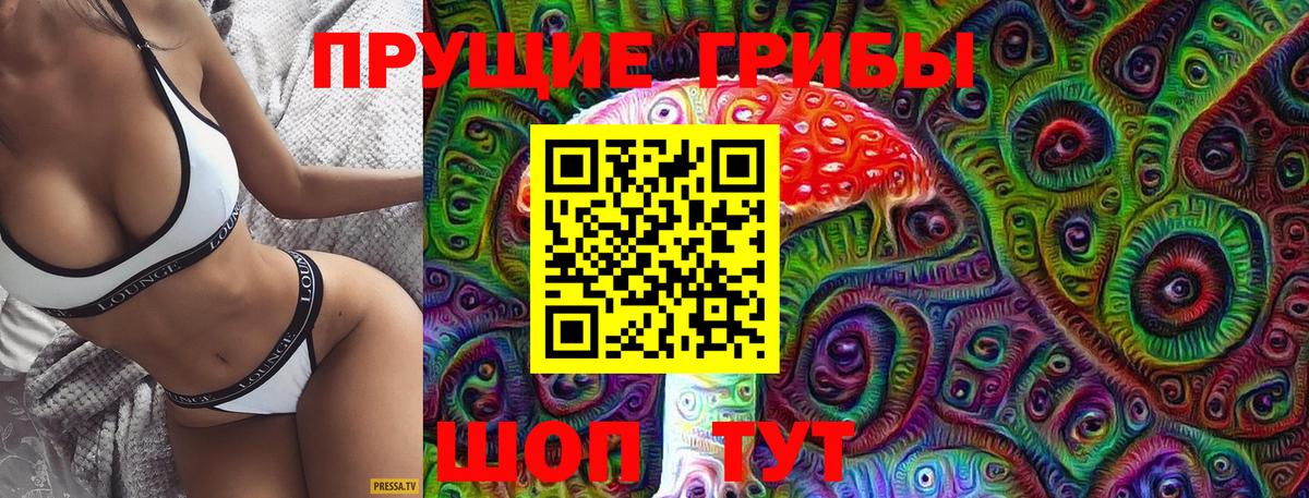 цены   Вход с VPN  Кинель  Псилоцибиновые грибы мухоморы 