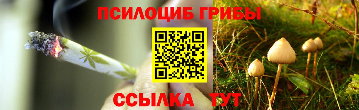 Псилоцибиновые грибы Magic Shrooms Кинель