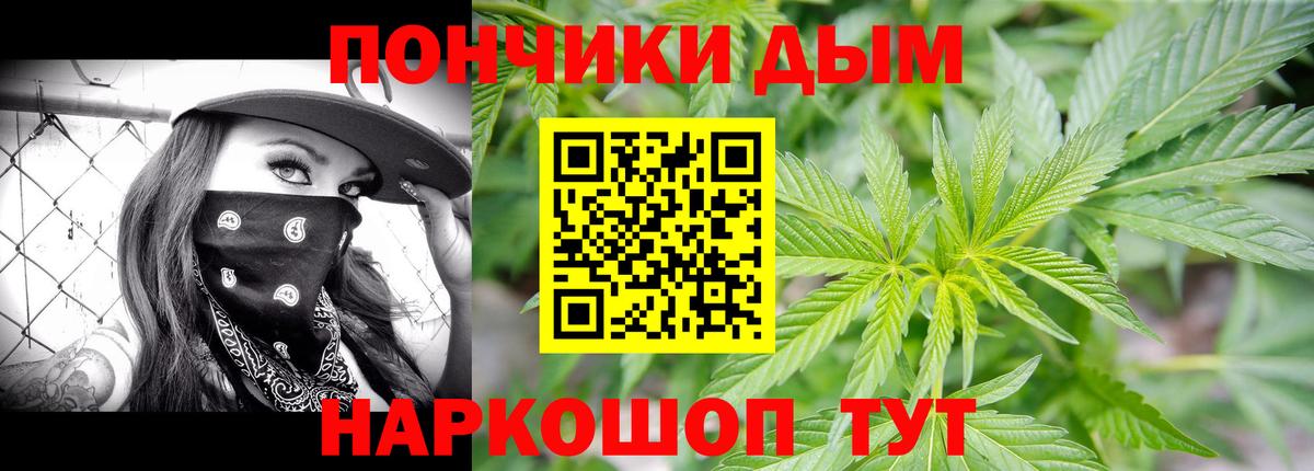 Шишки марихуана планчик Кинель